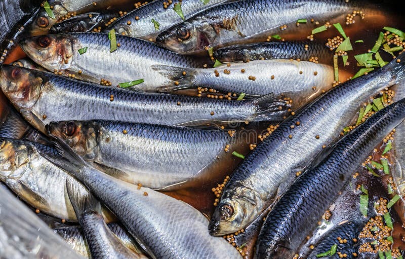 Gezouten haring met specerijen in een houten vat op een straatmarkt royalty-vrije stock afbeelding Gezouten haring met specerijen in een houten vat op een straatmarkt royalty-vrije stock afbeelding