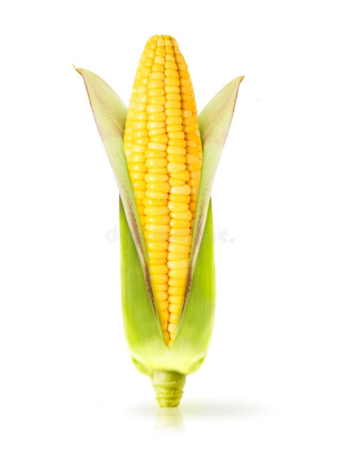 Geïsoleerde mais royalty-vrije stock afbeelding