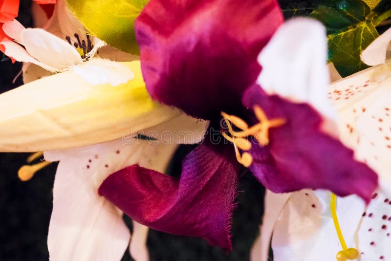 Geïsoleerd op een witte achtergrond royalty-vrije stock foto's