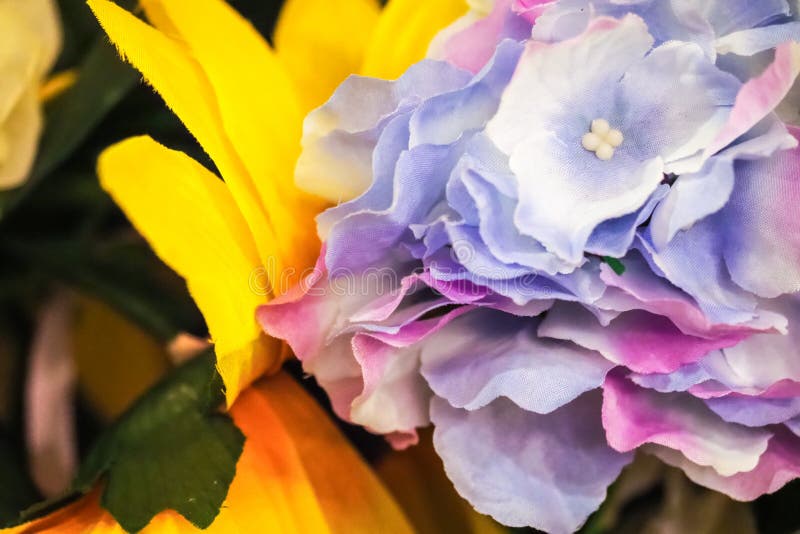 Geïsoleerd op een witte achtergrond royalty-vrije stock afbeeldingen