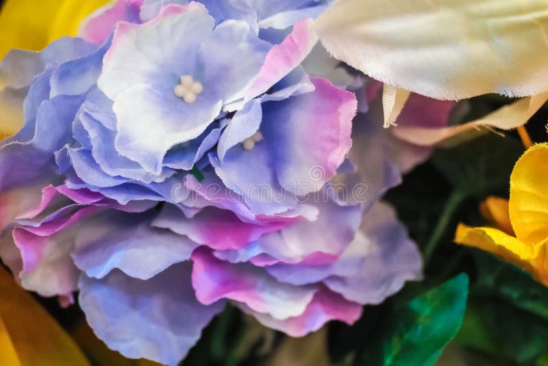 Geïsoleerd op een witte achtergrond royalty-vrije stock afbeeldingen