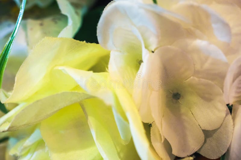 Geïsoleerd op een witte achtergrond royalty-vrije stock fotografie