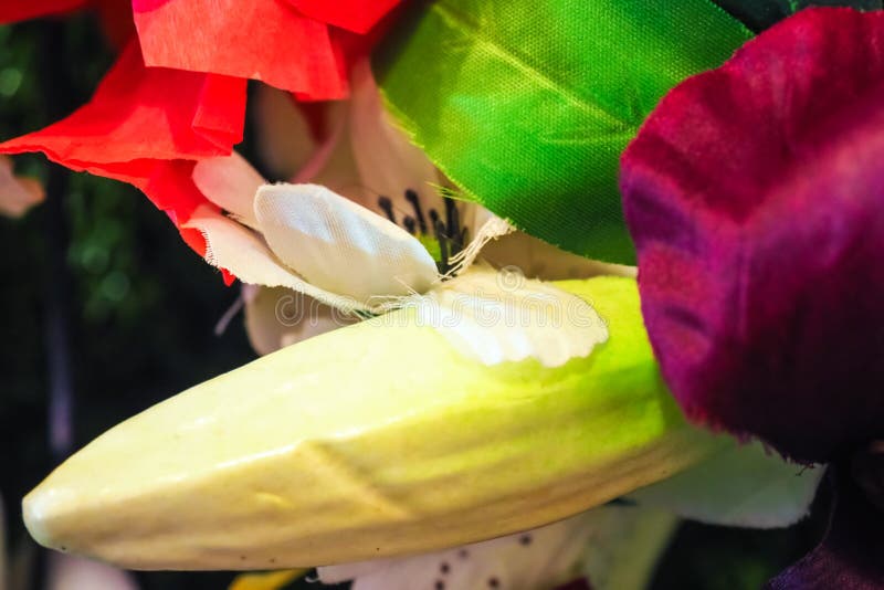 Geïsoleerd op een witte achtergrond stock fotografie