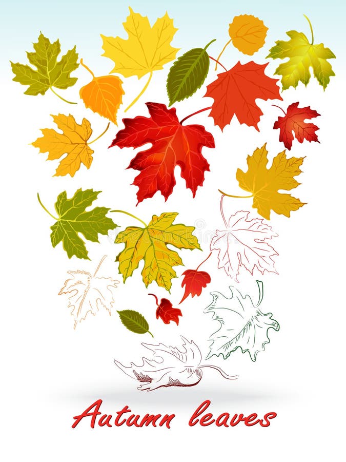 Geïsoleerde bladeren van de Setof de kleurrijke herfst. royalty-vrije illustratie Geïsoleerde bladeren van de Setof de kleurrijke herfst. royalty-vrije illustratie