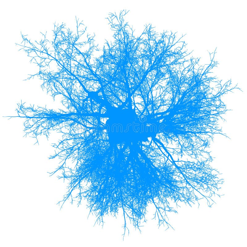 Geïsoleerde - blauw - vector van de boom leafless hoogste mening silhouet royalty-vrije illustratie Geïsoleerde - blauw - vector van de boom leafless hoogste mening silhouet royalty-vrije illustratie