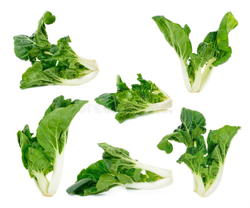 Geïsoleerde Bok choy groente royalty-vrije stock afbeeldingen Geïsoleerde Bok choy groente royalty-vrije stock afbeeldingen