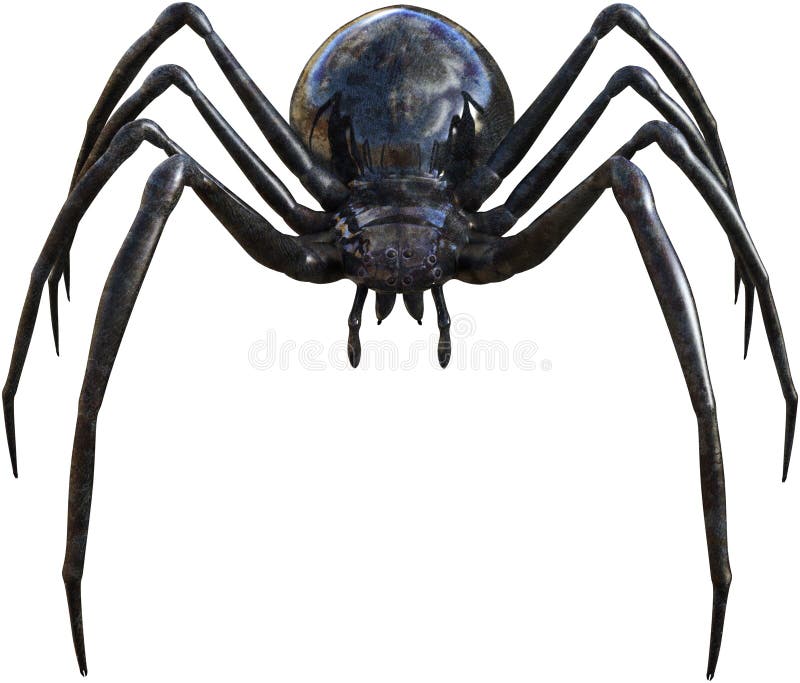 Geïsoleerde het insect van de zwarte weduwespin royalty-vrije illustratie Geïsoleerde het insect van de zwarte weduwespin royalty-vrije illustratie