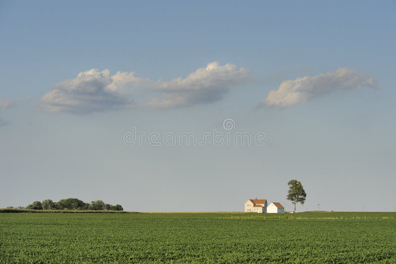 Isolated farm house in soybean fields under three clouds in rural Illinois. Isolated farm house in soybean fields under three clouds in rural Illinois