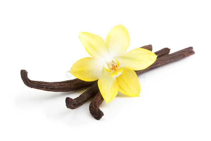 Geïsoleerde vanillepeulen en bloem