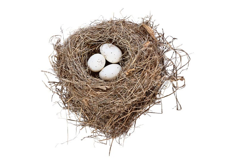 Geïsoleerde vogelnest en eieren stock fotografie Geïsoleerde vogelnest en eieren stock fotografie