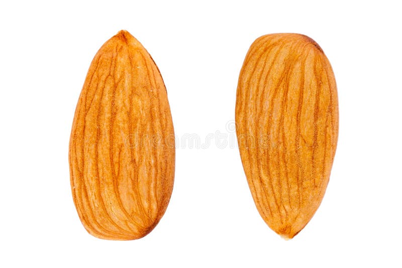 Geïsoleerde amandel royalty-vrije stock afbeelding