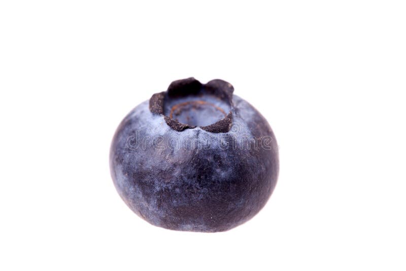 Geïsoleerdet bosbes royalty-vrije stock afbeelding Geïsoleerdet bosbes royalty-vrije stock afbeelding