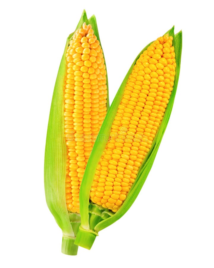 Geïsoleerdm graan royalty-vrije stock fotografie