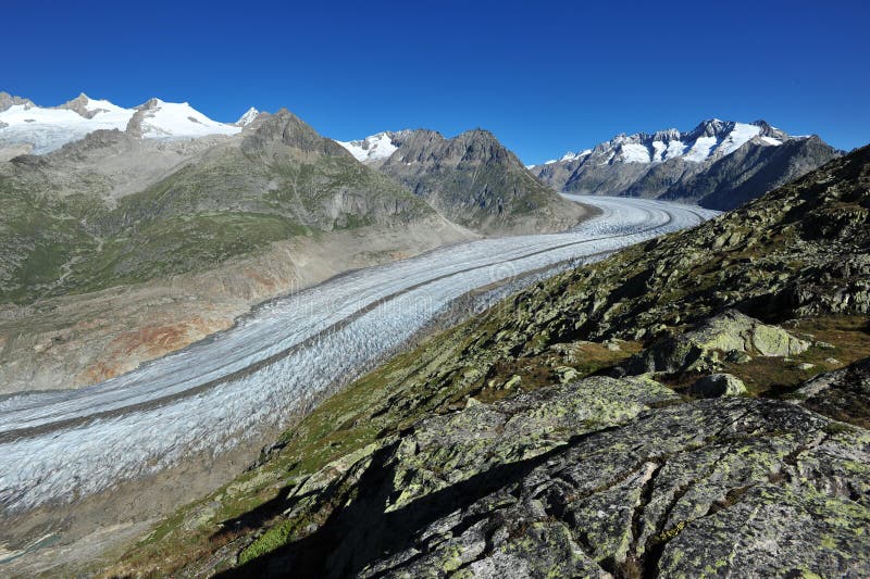 Aletsch Glacier and the summits of Fiescher Gabelhorn, Schoenbuehlhorn, Gross Wannenhorn and Klein Wannenhorn in Valais, Switzerland on a bright morning. Aletsch Glacier and the summits of Fiescher Gabelhorn, Schoenbuehlhorn, Gross Wannenhorn and Klein Wannenhorn in Valais, Switzerland on a bright morning