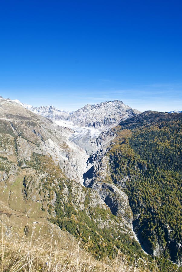 Aletsch glacier in swiss alps during autumn. Aletsch glacier in swiss alps during autumn