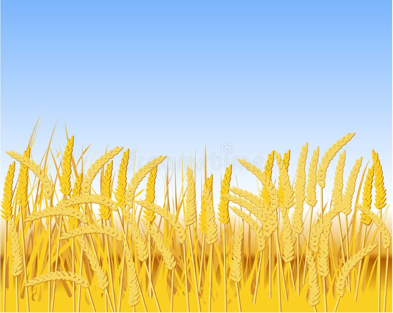 Giacimento del cereale royalty illustrazione gratis Giacimento del cereale royalty illustrazione gratis