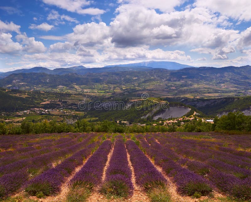 Giacimento della lavanda e delle montagne in Provenza fotografia stock libera da diritti Giacimento della lavanda e delle montagne in Provenza fotografia stock libera da diritti