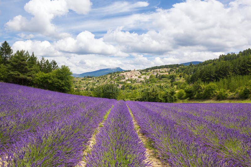 Giacimento e villaggio della lavanda fotografie stock libere da diritti Giacimento e villaggio della lavanda fotografie stock libere da diritti