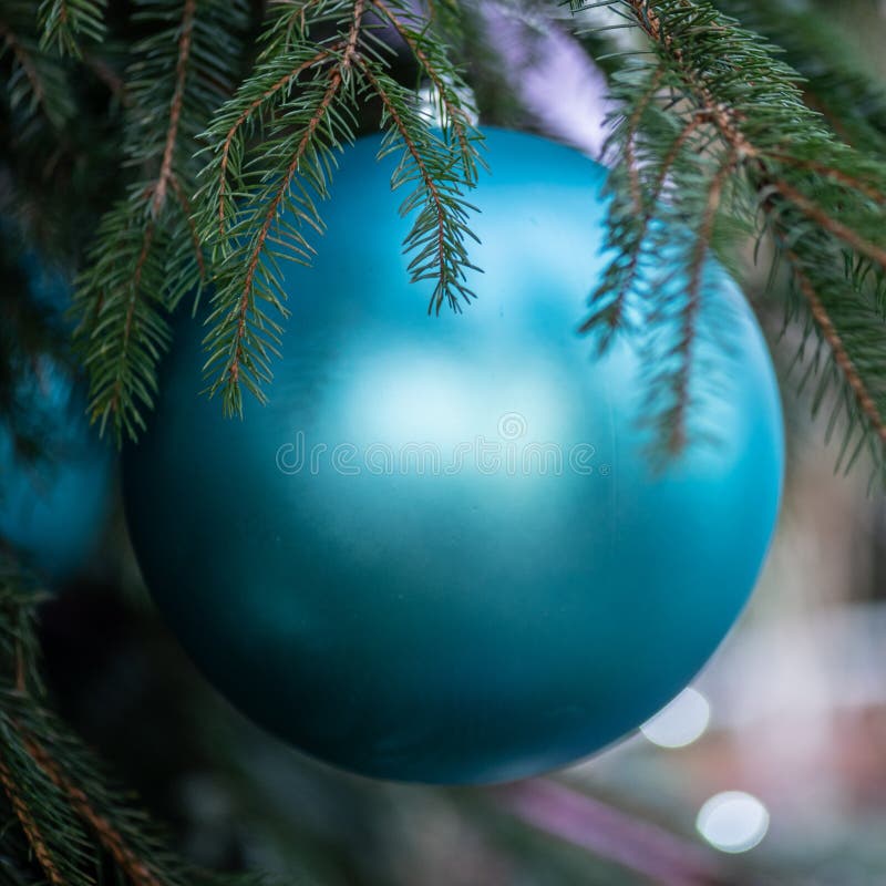 113 Giant Christmas Tree Isolated Stock Photos Free & RoyaltyFree