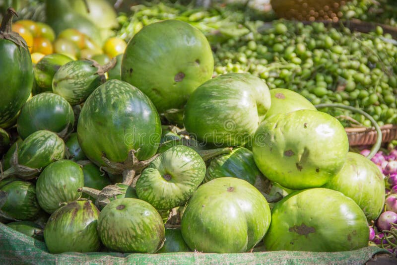 Giant Green Eggplant in the Market Stock Photo Image of vitamin, green 90163416