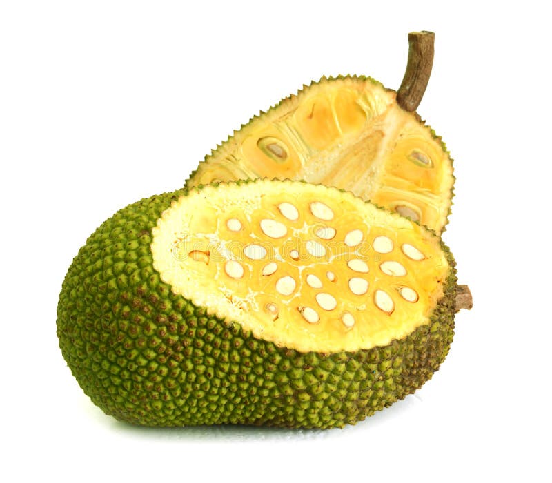 111 Giant Jackfruit Photos Free Royalty Free Stock Photos From Dreamstime