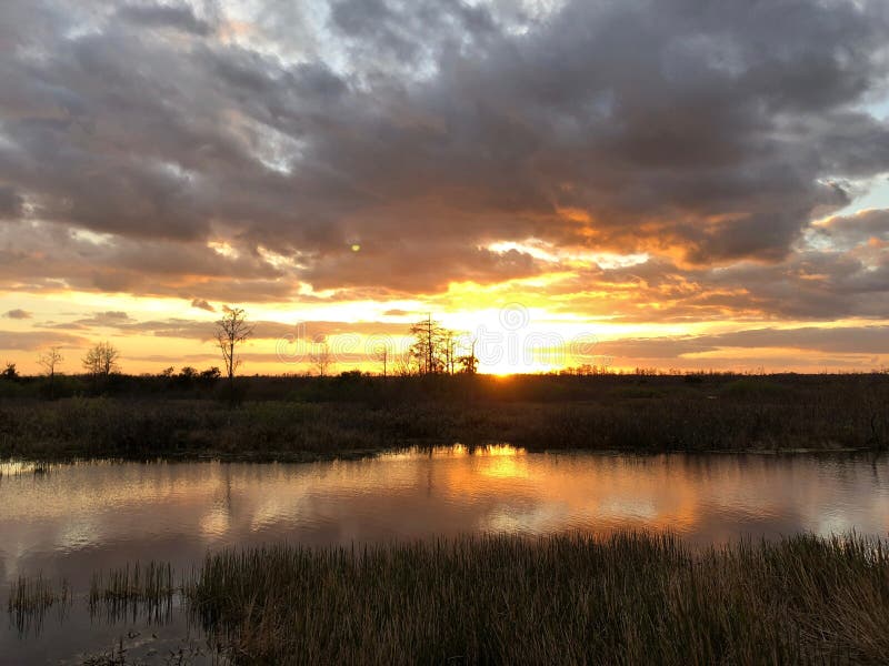 Sunset in the swamps. Giant orange sun sets behind the bayou of a cypress swamp and reflects in the river royalty free stock image Sunset in the swamps. Giant orange sun sets behind the bayou of a cypress swamp and reflects in the river royalty free stock image