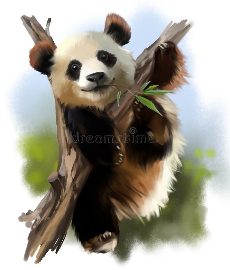 The giant Panda on the tree