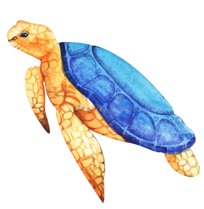 Giant sea turtle with coarse orange textural skin, large blue fish, flippers and blue eyes. Hand-drawn watercolor illustration vector illustration Giant sea turtle with coarse orange textural skin, large blue fish, flippers and blue eyes. Hand-drawn watercolor illustration vector illustration