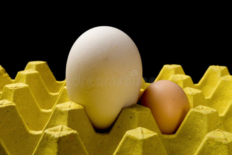 Giant size goose egg next to a chicken egg on package