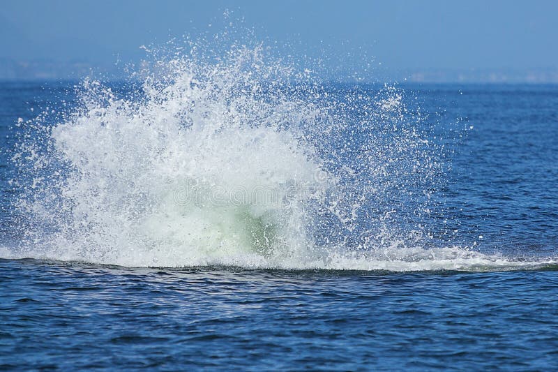 Splash vody zanechal potápanie kosatka (Orca)