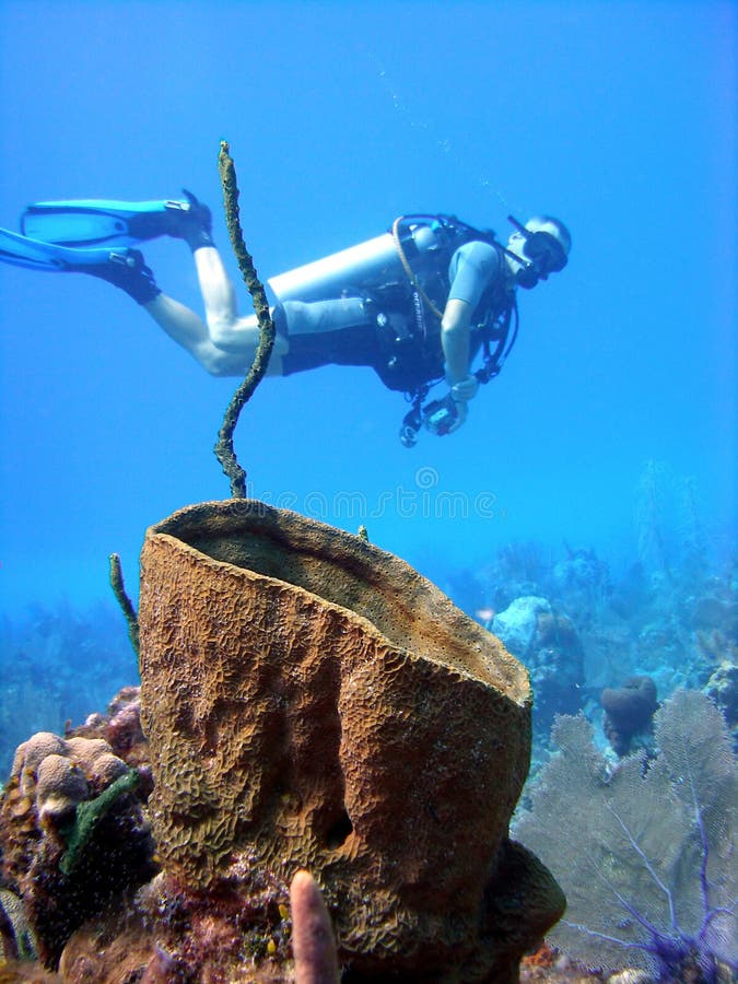 Giant sponge and diver royalty free stock image