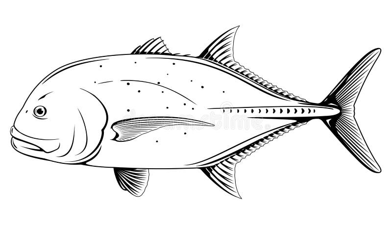 Black White Realistic Fish Stock Illustrations – 2,989 Black White