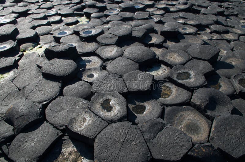The Giants Causeway royalty free stock photo The Giants Causeway royalty free stock photo