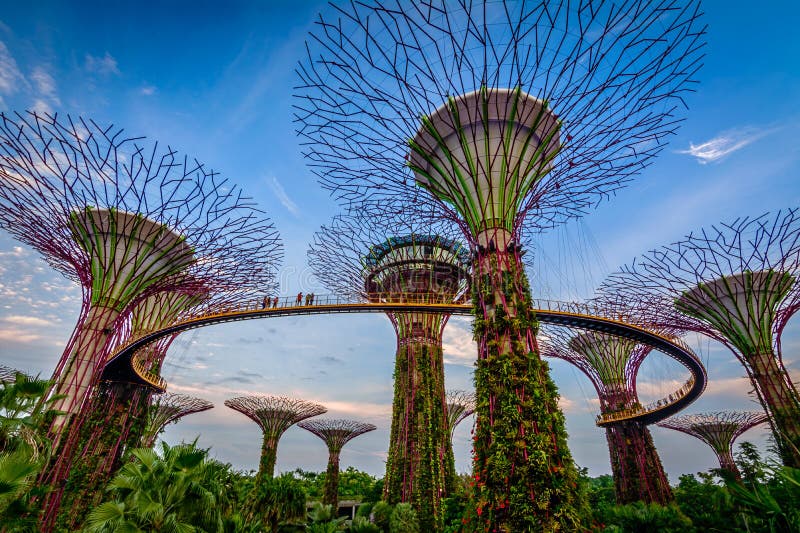 Giardini dalla baia Singapore