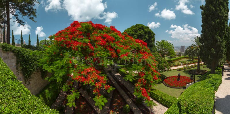 Giardini di Bahai, Haifa, Israele immagine stock