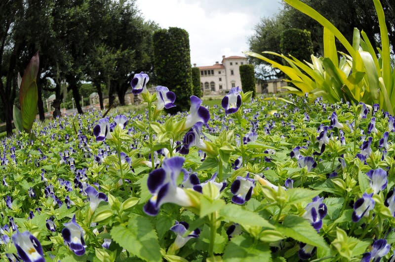 Giardini e villa di Vizcaya immagini stock libere da diritti Giardini e villa di Vizcaya immagini stock libere da diritti