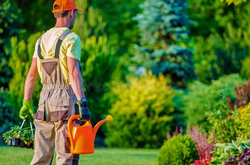 Giardiniere ed il suo lavoro del giardino fotografia stock libera da diritti Giardiniere ed il suo lavoro del giardino fotografia stock libera da diritti