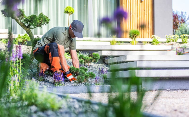 Giardiniere qualificato che si rivolge alle piante in un giardino moderno e paesaggistico durante il giorno fotografia stock