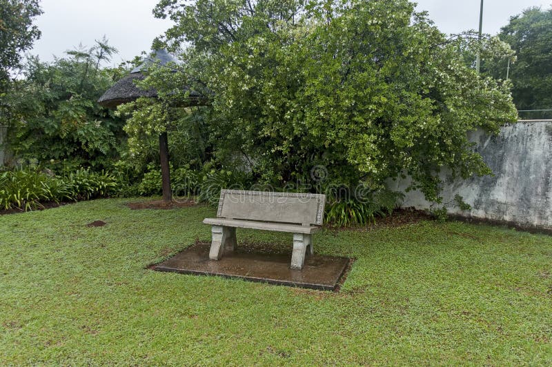 Giardino bagnato di mattina dopo la notte piovosa in Sabie fotografia stock Giardino bagnato di mattina dopo la notte piovosa in Sabie fotografia stock