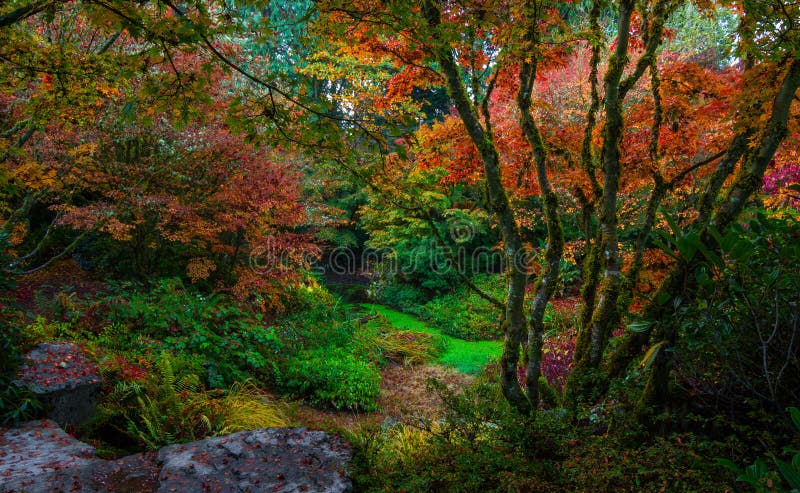 Giardino botanico di Bellevue, Washington State immagini stock libere da diritti Giardino botanico di Bellevue, Washington State immagini stock libere da diritti