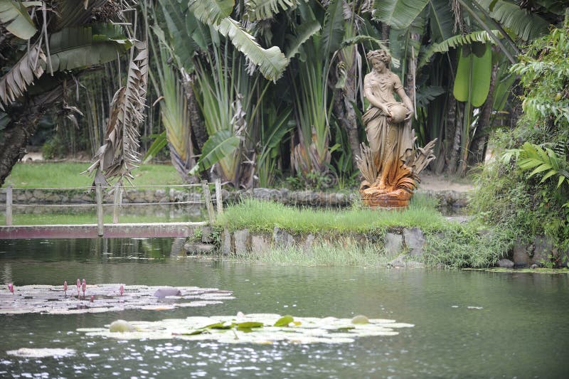 Giardino botanico in Rio de Janeiro, Brasile immagine stock libera da diritti Giardino botanico in Rio de Janeiro, Brasile immagine stock libera da diritti