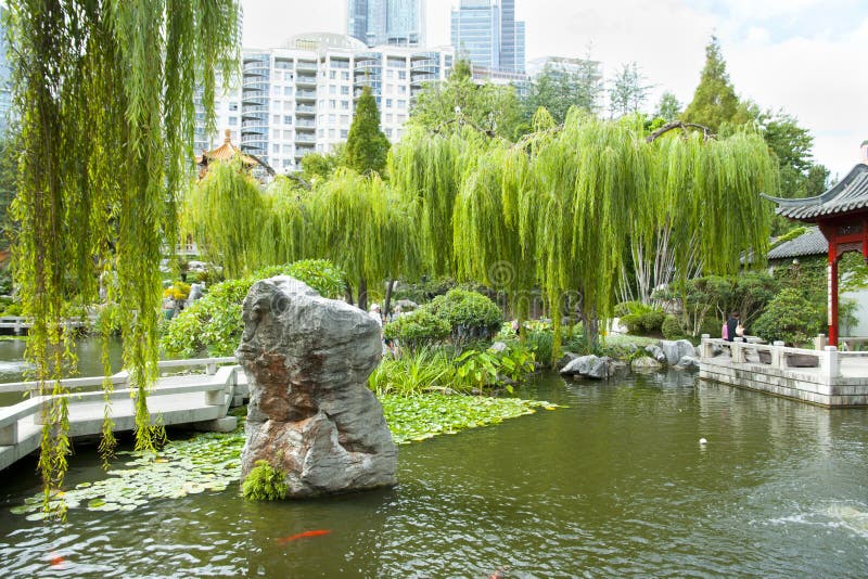 Giardino cinese di amicizia immagini stock libere da diritti