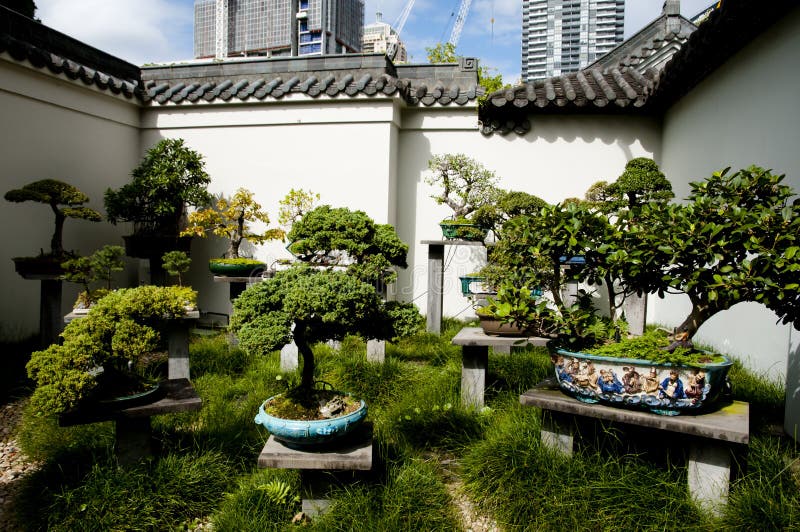 Giardino Cinese dell'Amicizia fotografia stock libera da diritti