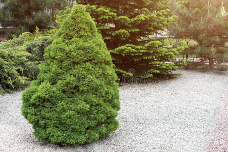 Giardino convenzionale modific il terrenoare Sosta della città Progettazione ornamentale del giardino del parco immagini stock libere da diritti Giardino convenzionale modific il terrenoare Sosta della città Progettazione ornamentale del giardino del parco immagini stock libere da diritti