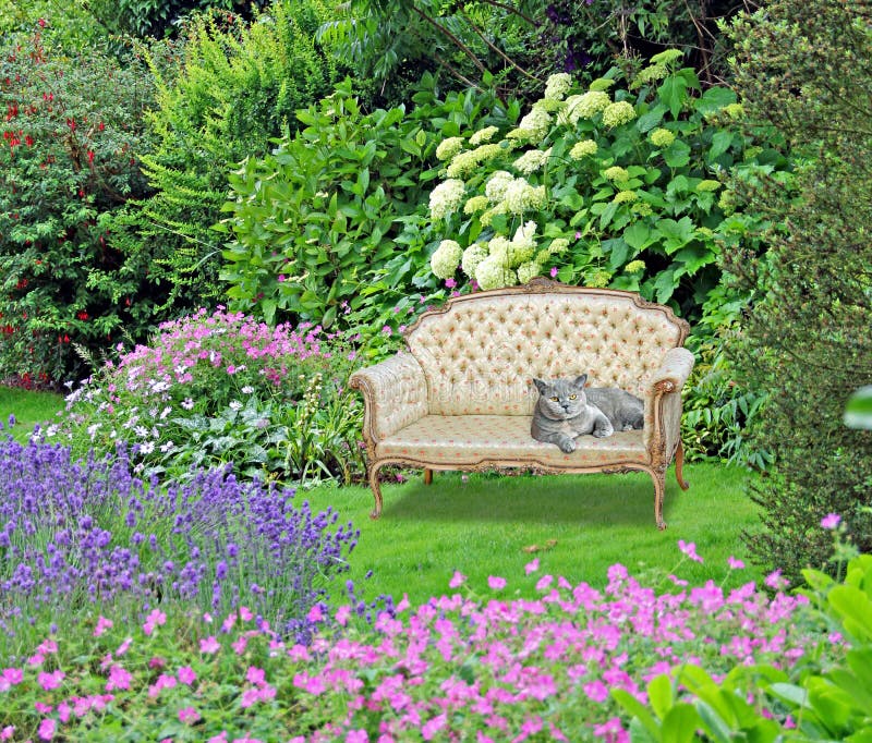 Giardino del paradiso della pace chaise chaise lounge longue orti di gatto animali da compagnia dopo una sedia pacifica panchina fotografia stock Giardino del paradiso della pace chaise chaise lounge longue orti di gatto animali da compagnia dopo una sedia pacifica panchina fotografia stock