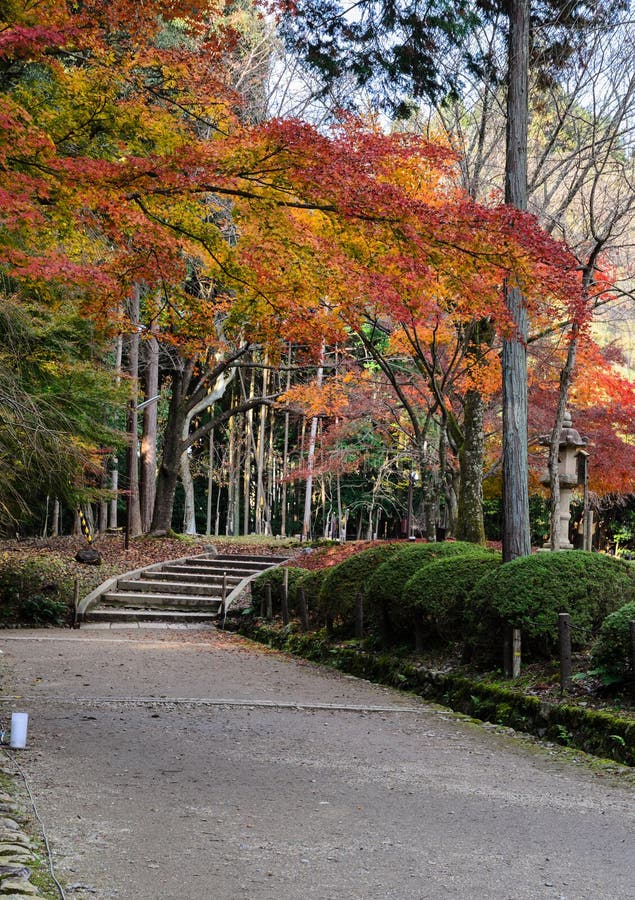 Giardino di Autumn Japanese in tempio di Daigoji Kyoto, Giappone immagini stock libere da diritti Giardino di Autumn Japanese in tempio di Daigoji Kyoto, Giappone immagini stock libere da diritti