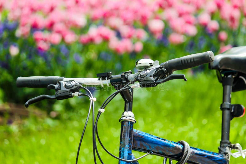 Giardino di fiori della bicicletta fotografia stock Giardino di fiori della bicicletta fotografia stock