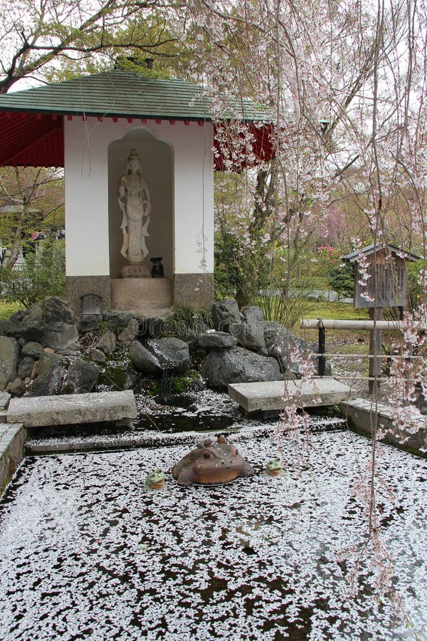garden of a buddhist temple (tenryu-ji) in kyoto in japan. garden of a buddhist temple (tenryu-ji) in kyoto in japan