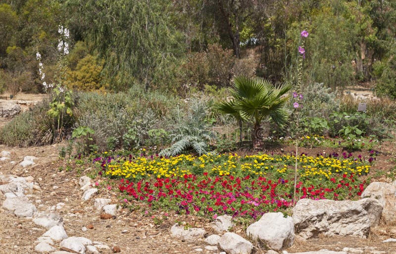 Giardino floreale di sguardo naturale con gli accenti della roccia fotografia stock libera da diritti Giardino floreale di sguardo naturale con gli accenti della roccia fotografia stock libera da diritti