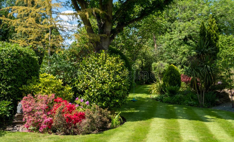 Giardino sobborgo di londra britannico con querce di alta qualità, con falda corta, di qualità colorata e altri alberi. fotografia stock libera da diritti